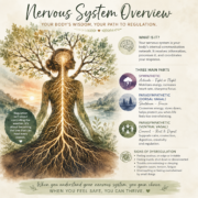 Infographic titled “Nervous System Overview: Your Body’s Wisdom, Your Path to Regulation.” The graphic explains the three main parts of the nervous system: the sympathetic nervous system (fight or flight), the parasympathetic dorsal vagal state (shutdown or freeze), and the parasympathetic ventral vagal state (connect, rest, and digest). It also lists common signs of nervous system dysregulation, including anxiety, disconnection, digestive issues, tension, fatigue, and feeling overwhelmed. The illustration features a seated figure with a glowing nervous system integrated into tree roots and branches. The closing message reads: “When you understand your nervous system, you gain choice. When you feel safe, you can thrive.”