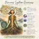 Infographic titled “Nervous System Overview: Your Body’s Wisdom, Your Path to Regulation.” The graphic explains the three main parts of the nervous system: the sympathetic nervous system (fight or flight), the parasympathetic dorsal vagal state (shutdown or freeze), and the parasympathetic ventral vagal state (connect, rest, and digest). It also lists common signs of nervous system dysregulation, including anxiety, disconnection, digestive issues, tension, fatigue, and feeling overwhelmed. The illustration features a seated figure with a glowing nervous system integrated into tree roots and branches. The closing message reads: “When you understand your nervous system, you gain choice. When you feel safe, you can thrive.”