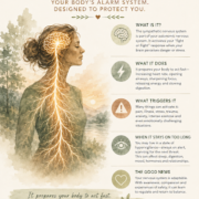 Illustrated infographic of a woman's profile with her nervous system glowing throughout her body, explaining the sympathetic nervous system as the body's alarm system. The graphic describes how it prepares the body for fight, flight, or freeze, common triggers, the effects of prolonged activation, and the role of awareness and compassion in supporting nervous system regulation.