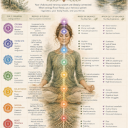 Infographic titled “The 7 Major Chakras and the Nervous System,” showing a seated meditating person with seven glowing colored chakra symbols aligned from crown to root, surrounded by charts describing each chakra’s location, energy center, nervous-system connection, related emotions, and signs of balance or imbalance.